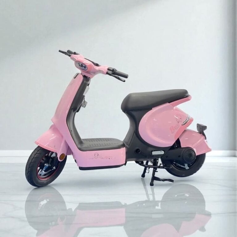 Xe đạp điện cho thuê
